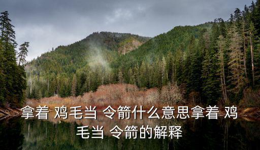 拿雞毛當令箭,【那些雞毛與箭之爭的始末