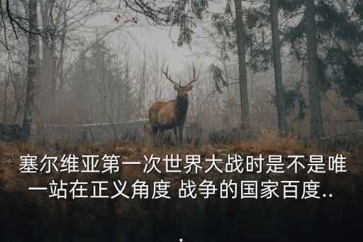  塞爾維亞第一次世界大戰(zhàn)時(shí)是不是唯一站在正義角度 戰(zhàn)爭的國家百度...