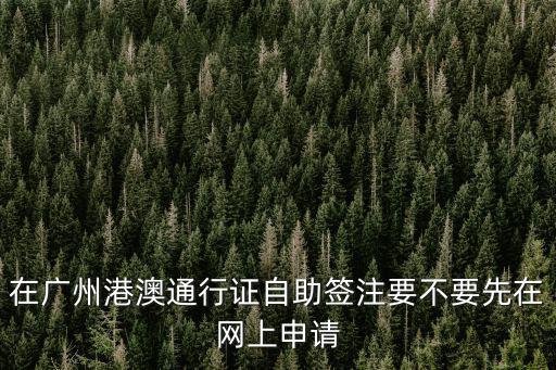 在廣州港澳通行證自助簽注要不要先在網(wǎng)上申請(qǐng)