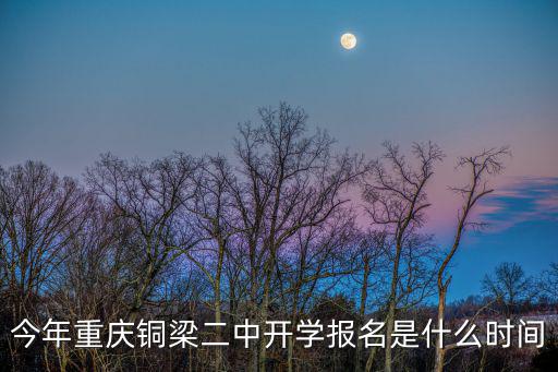 重慶市銅梁二中籃球，重慶哪里有學街頭籃球的地方