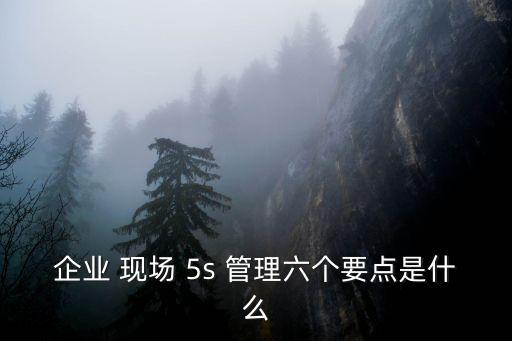 企業(yè) 現(xiàn)場 5s 管理六個要點是什么