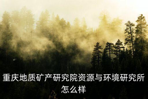 重慶地質礦產研究院資源與環境研究所怎么樣