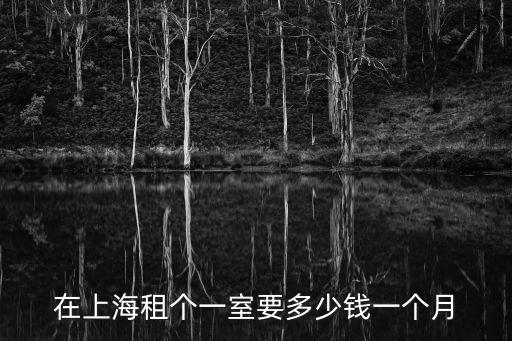 在上海租個一室要多少錢一個月