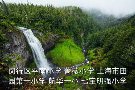 閔行區平南小學 薔薇小學 上海市田園第一小學 航華一小 七寶明強小學