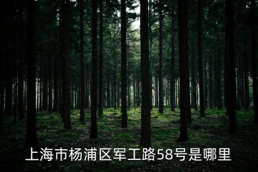 上海市楊浦區(qū)軍工路58號是哪里