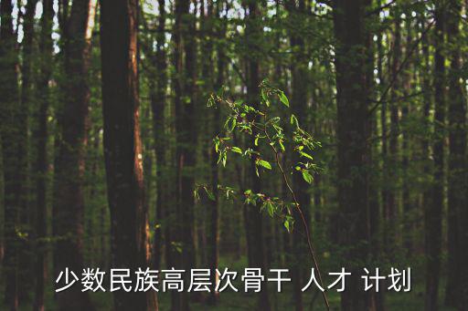 少數(shù)民族高層次骨干 人才 計(jì)劃