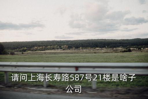 請(qǐng)問上海長(zhǎng)壽路587號(hào)21樓是啥子公司