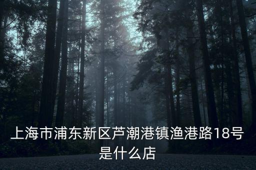 上海市浦東新區(qū)蘆潮港鎮(zhèn)漁港路18號是什么店