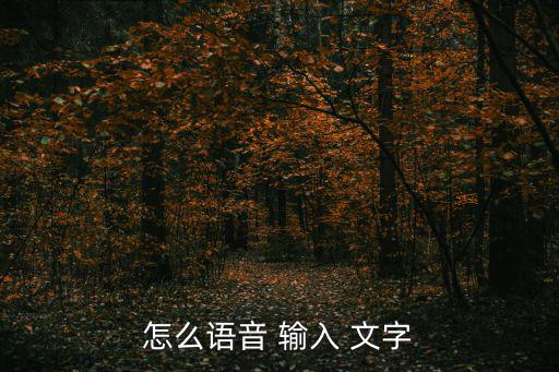 怎么語(yǔ)音 輸入 文字