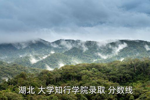 湖北大學分數線,湖北大學知行學院武漢校區位于武漢天地洲北側