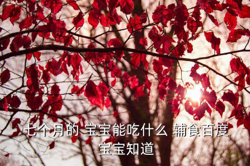  七個月的 寶寶能吃什么 輔食百度 寶寶知道