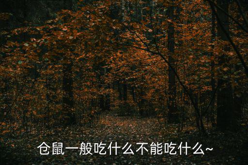  倉鼠一般吃什么不能吃什么~