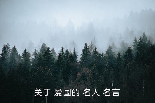 關于 愛國的 名人 名言