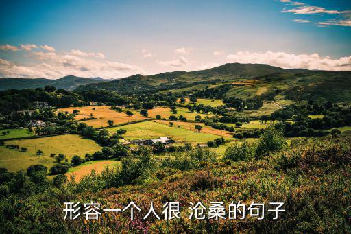 形容一個(gè)人很 滄桑的句子