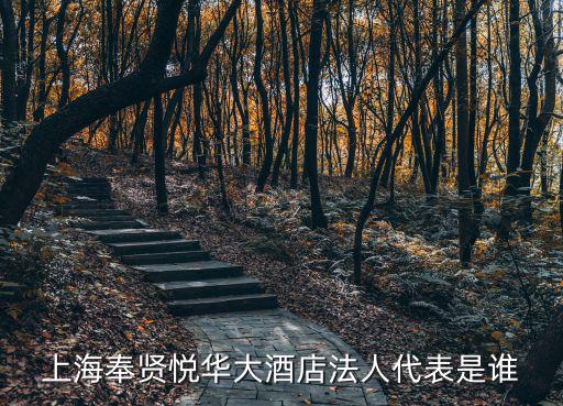 上海奉賢悅華大酒店法人代表是誰