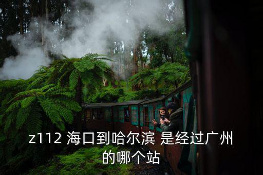 ?？谥翉V州z112次列車途經，19號z112列車到廣洲整點么