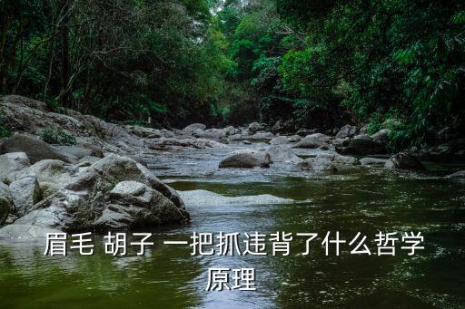  眉毛 胡子 一把抓違背了什么哲學原理