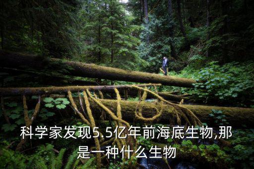 科學(xué)家發(fā)現(xiàn)5.5億年前海底生物,那是一種什么生物