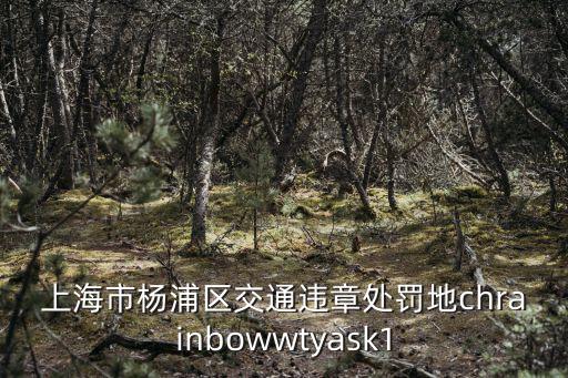 上海市楊浦區(qū)交通違章處罰地chrainbowwtyask1