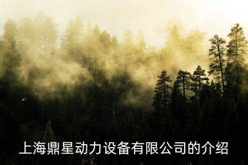 上海市托輥，托輥是什么東西