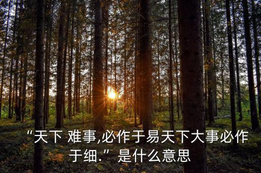 “天下 難事,必作于易天下大事必作于細.”是什么意思
