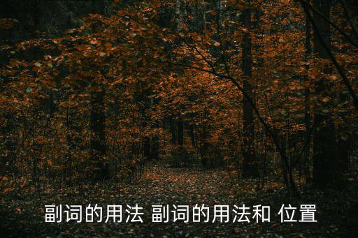  副詞的用法 副詞的用法和 位置