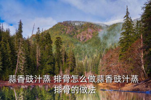 蒜香蒸排骨,醬排骨的做法