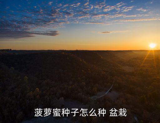  菠蘿蜜種子怎么種 盆栽