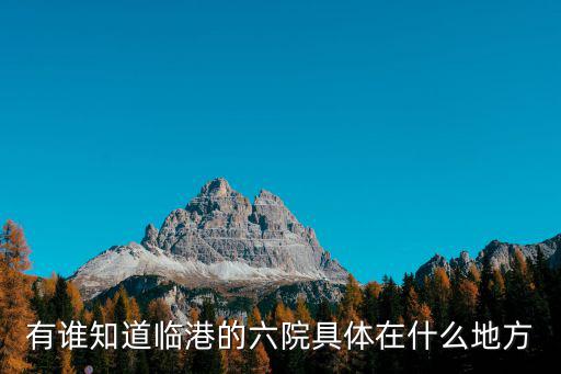 有誰知道臨港的六院具體在什么地方
