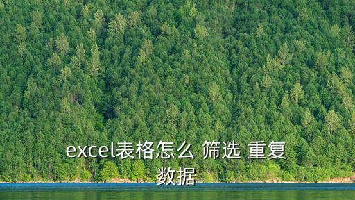  excel表格怎么 篩選 重復 數(shù)據(jù)