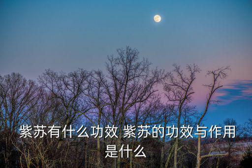  紫蘇有什么功效 紫蘇的功效與作用是什么