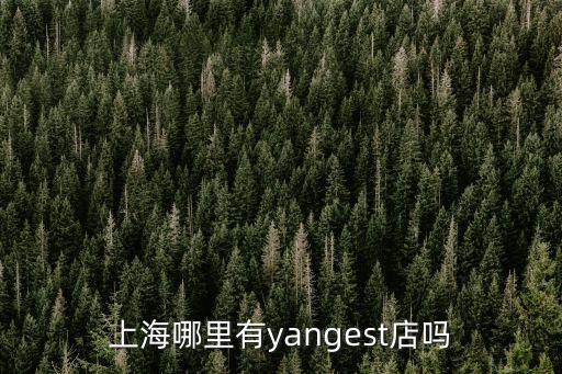 上海哪里有yangest店嗎
