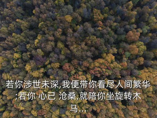 若你涉世未深,我便帶你看盡人間繁華;若你 心已 滄桑,就陪你坐旋轉(zhuǎn)木馬...