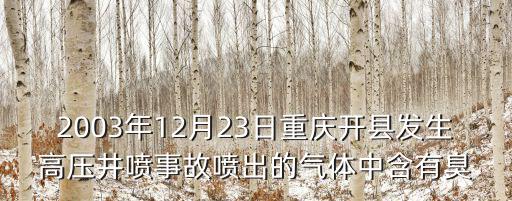 2003年12月23日重慶開縣發生高壓井噴事故噴出的氣體中含有臭