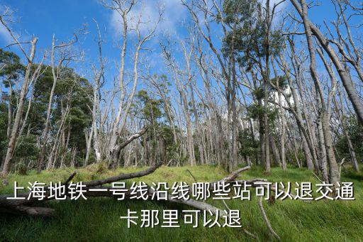 上海地鐵一號線沿線哪些站可以退交通卡那里可以退