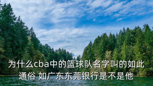 為什么cba中的籃球隊名字叫的如此通俗 如廣東東莞銀行是不是他