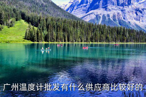 廣州溫度計(jì)批發(fā)有什么供應(yīng)商比較好的