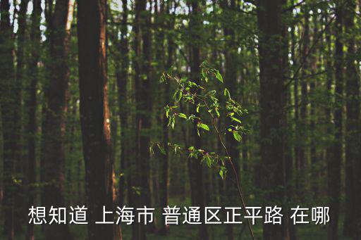 上海市鎮平路在哪里，鎮平路三號線 是在哪里的
