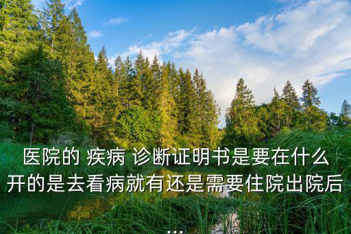 醫院的 疾病 診斷證明書是要在什么開的是去看病就有還是需要住院出院后...