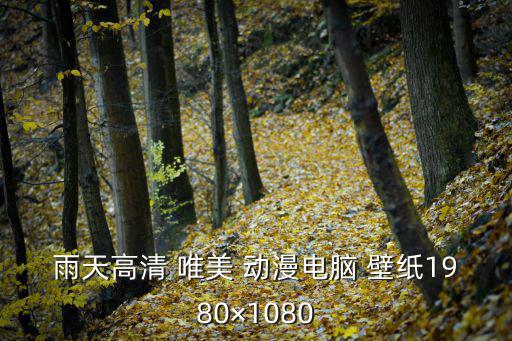 唯美動漫壁紙,《海賊王》改編動畫壁紙讓我怦然心動