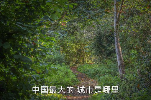中國最大的 城市是哪里