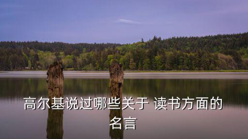  高爾基說過哪些關于 讀書方面的 名言