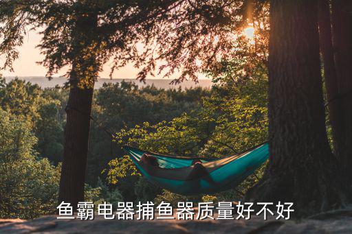 魚霸電器捕魚器質量好不好