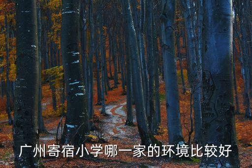 廣州寄宿小學哪一家的環(huán)境比較好