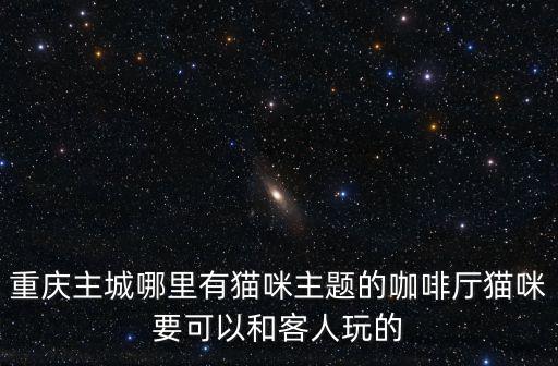 重慶主城哪里有貓咪主題的咖啡廳貓咪要可以和客人玩的
