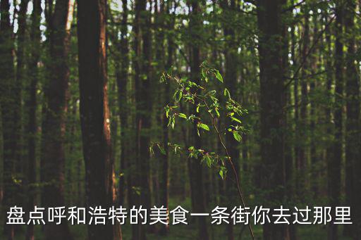 盤點呼和浩特的美食一條街你去過那里