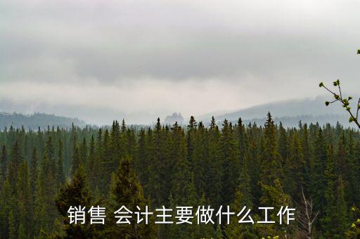  銷售 會(huì)計(jì)主要做什么工作