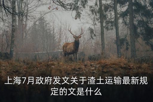 上海7月政府發文關于渣土運輸最新規定的文是什么