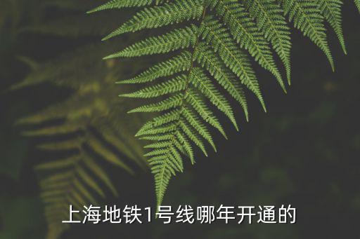 上海地鐵1號(hào)線哪年開(kāi)通的