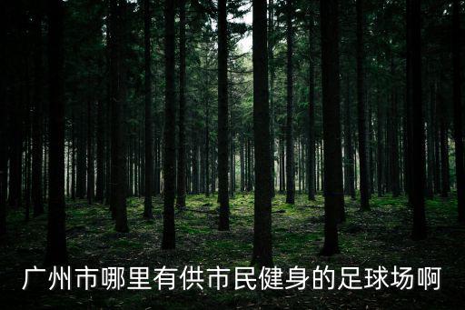 廣州市哪里有供市民健身的足球場啊
